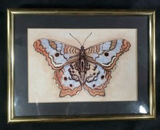 Butterfly watercolor painting for sale  Pendleton