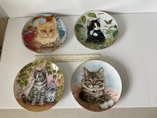 Collectors kitten appeal for sale  WHITSTABLE