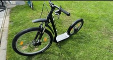 Hadhi tretroller dog gebraucht kaufen  Varel