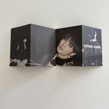 Stray kids straykids gebraucht kaufen  Troisdorf