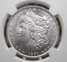 1891 morgan dollar for sale  USA