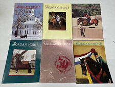 Issues morgan horse for sale  Jacksonville