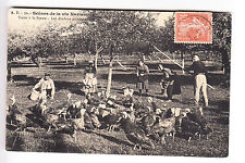 Old postcard normandy d'occasion  Expédié en Belgium