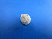 Antique civil war for sale  Lecanto