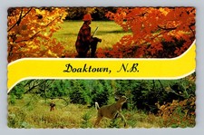 Canada new brunswick for sale  USA