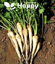 Vegetable parsnip seeds for sale  DONCASTER