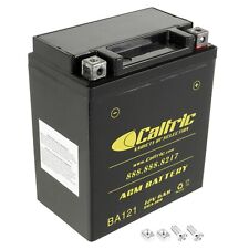 Caltric agm battery for sale  Pacoima