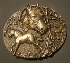 Buckle pferd fohlen gebraucht kaufen  Köln