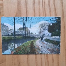 Lady walk wem for sale Lady walk wem for sale  THIRSK