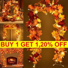 Autumn fall maple for sale  MANCHESTER