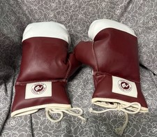 Vintage boxing gloves for sale  Spartanburg