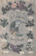 Langage fleurs croissant d'occasion  Vasles