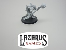 Warhammer fantasy lizardmen for sale  Harrisburg