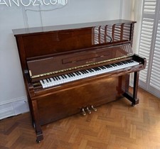 Weber young chang for sale  LONDON