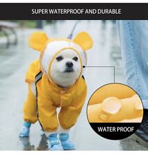 Pet cat dog for sale  Irving