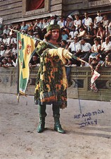 Usado, * PALIO DI SIENA - Contrada del Bruco  Paggio comprar usado  Enviando para Brazil