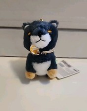 Shiba inu blue for sale  Huntington Station