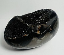 4.5 septarian dragon for sale  Hewitt