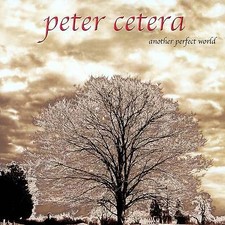 Peter Cetera - Another Perfect World (CD 2001), usado comprar usado  Enviando para Brazil