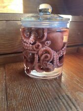 Wet specimen octopus for sale  North Bend