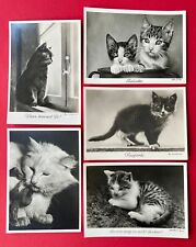 Foto künstler fritz gebraucht kaufen  Dresden