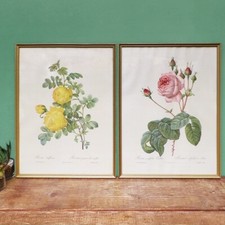 flower prints for sale flower prints for sale LONDON