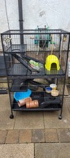 Rat ferret chinchilla for sale  ACCRINGTON