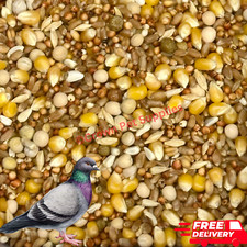 Feed types pigeons for sale  El Cajon