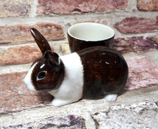 Quail rabbit bunny for sale  TUNBRIDGE WELLS
