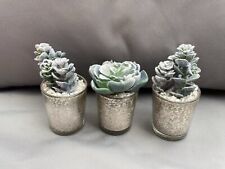 Set faux succulents for sale  BARTON-UPON-HUMBER