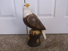 Bald eagle indoor for sale  York