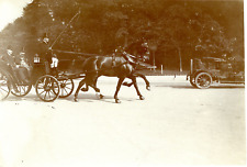 Calèche attelage voiture d'occasion  Pagny-sur-Moselle