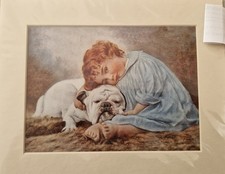 Beautiful girl bulldog for sale  GRANTHAM