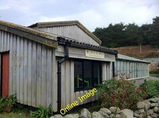 Photo 12x8 bulbs usato  Spedire a Italy