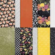 Stampin designerpapier herbste gebraucht kaufen  Nesse-Apfelstädt, Nottleben