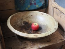 Large early sycamore for sale  MONTGOMERY