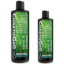 Brightwell aquatics chaetogro for sale  DARTFORD