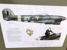 Raf framed print for sale  BARNET