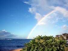 Maui bedroom kahana for sale  San Antonio