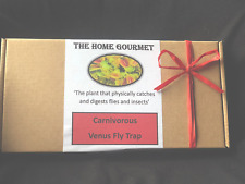 Venus fly trap for sale  BAKEWELL