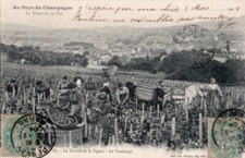 Cpa precurseurs 1904 d'occasion  Nîmes