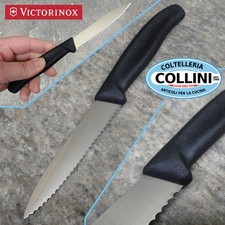 Victorinox spelucchino seghett usato Victorinox spelucchino seghett usato  Busto Arsizio
