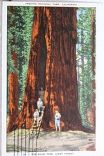 California sequoia national for sale  Wilmington