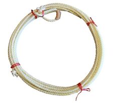 Poly lasso rope gebraucht kaufen  Linsengericht