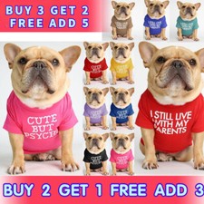 Breathable summer dog for sale  UK