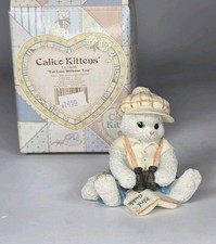 1994 calico kittens for sale  Ogden
