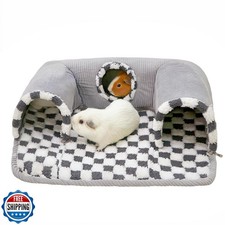 Lfokd guinea pig for sale  San Jose