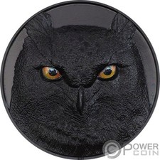 Eagle owl gufo usato  Ciampino