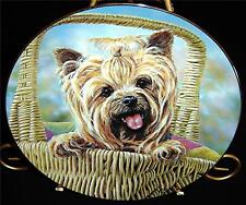 Yorkshire terriers yorkie for sale  USA
