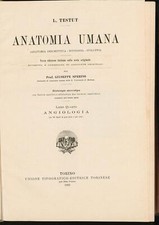 Anatomia umana vol usato  Gavirate